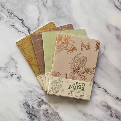 Eco-friendly recycled paper notebooks stacked with a green plant, representing sustainable stationery sourcing in Kerala